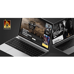 Larian Studios Spiele